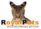 RoyalPets, ИП