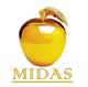 Midas Group