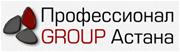 Профессионал GROUP