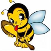 Пчеловодческое хозяйство, ИП Семенова, мёд оптом, мед оптом